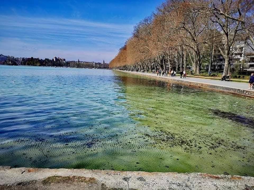 La Petite Venise Des Alpes, Ultra Centre 1 A 5 Pers Daire Annecy Dış mekan fotoğraf